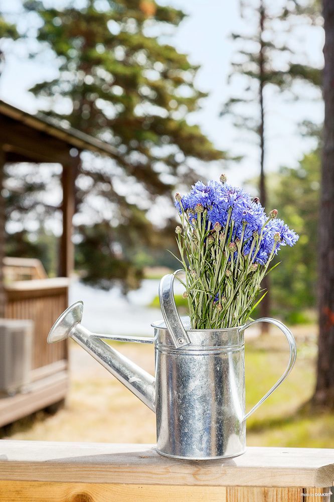 First Camp Gunnarsoe-Oskarshamn 호텔 외부 사진